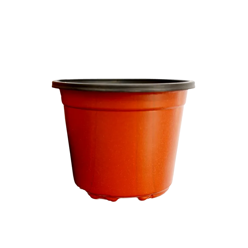POT RYKER PVC XS/RB-80 TERRACOTTA 12'S